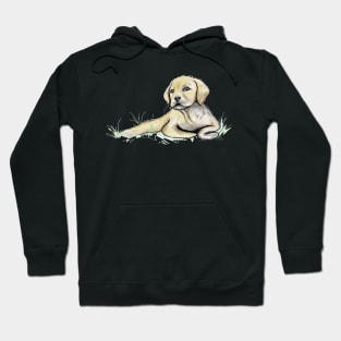 Labrador Retriever Puppy Hoodie